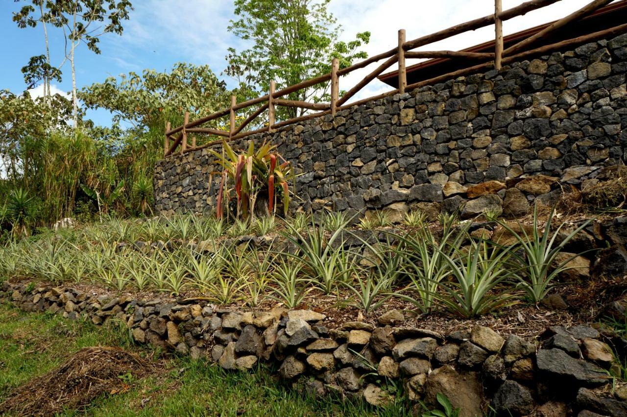 Finca Estacion Descansos Bed and Breakfast Paraíso Eksteriør billede
